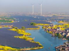 La 'fuerza imparable' de la energía solar impide el mundo al 40% de electricidad limpia, informa el informe | Noticias de ciencia, clima y tecnología