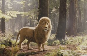 La próxima franquicia de fantasía de Netflix podría hacer un cambio divisivo en un personaje icónico