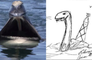 El adolescente de Florida afirma que un 'monstruo marino' mató a cuatro de sus amigos