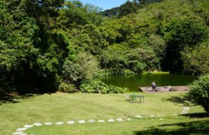 Regenerando la idea del ecoturismo en Costa Rica y el mundo