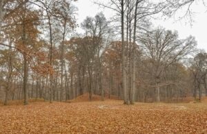 La Semana del Patrimonio Mundial de Ohio comienza el sábado en Fort Ancient