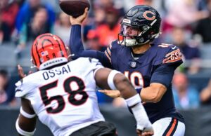 Bengals, los osos podrían (en teoría) reunirse y pagar un estadio en Chicago