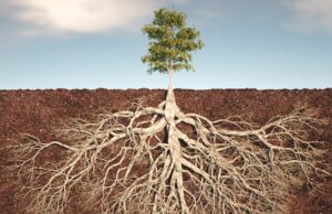 Los científicos encontraron un mundo de criaturas invisibles debajo de la “piel viva” de la tierra