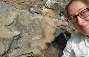 Las huellas de anquilosaurio de Canadá son los primeros en su tipo en el mundo