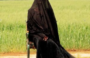 ¿'La mujer en el patio' vale un alquiler de $ 20? Nuestro experto en terror pesa